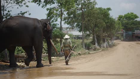 man and elephant in rural asian landscape