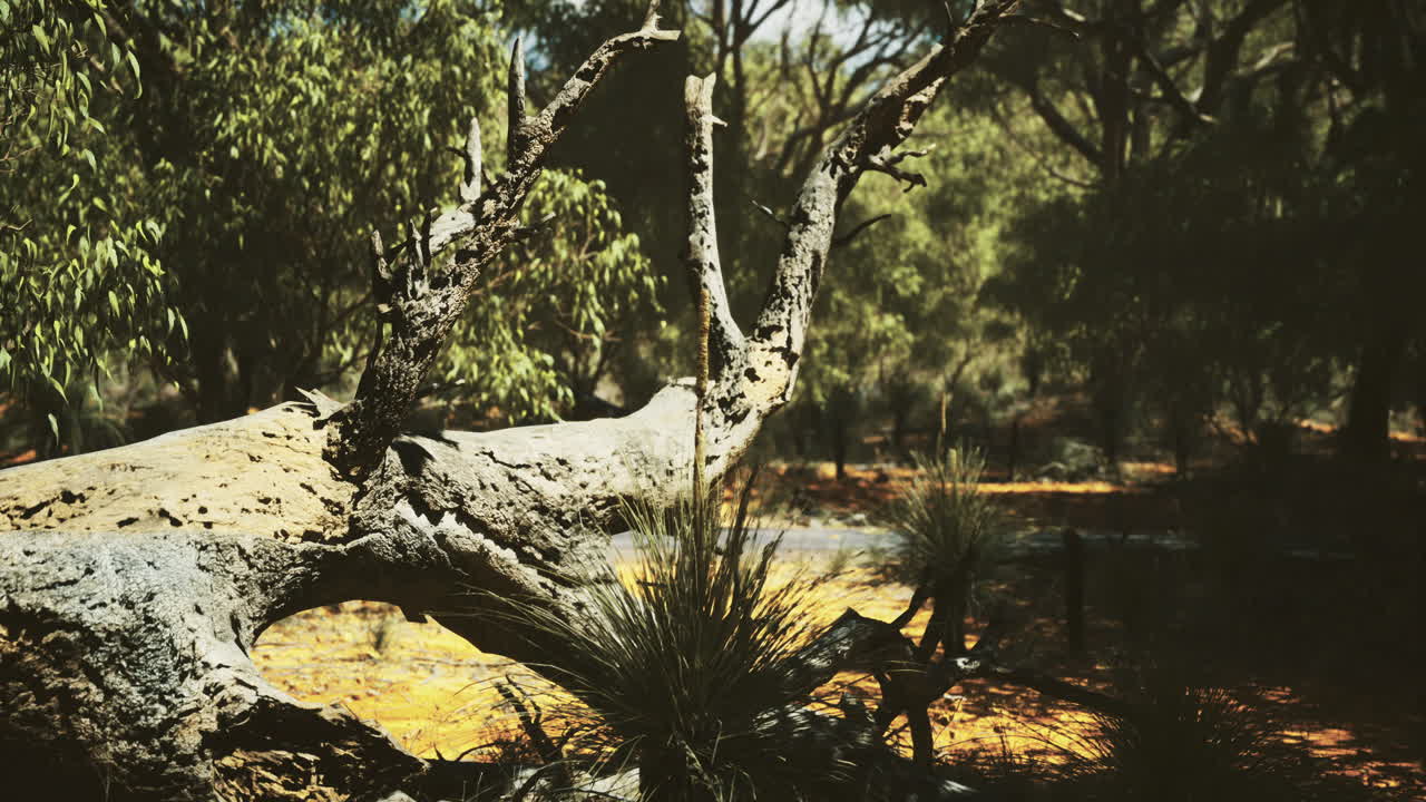 Weathered tree trunk surrounded by lush greenery in a tranquil setting
