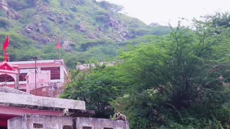 Hindu-Göttin-Shri-Chamunda-Mata-Alter-Tempel-Aus-Einem-Anderen-Blickwinkel-Am-Tag.-Das-Video-Wurde-Am-19.-August-2023-Im-Shaktipeeth-Shri-Chamunda-Mata-Tempel-In-Ajmer,-Rajasthan,-Indien,-Aufgenommen