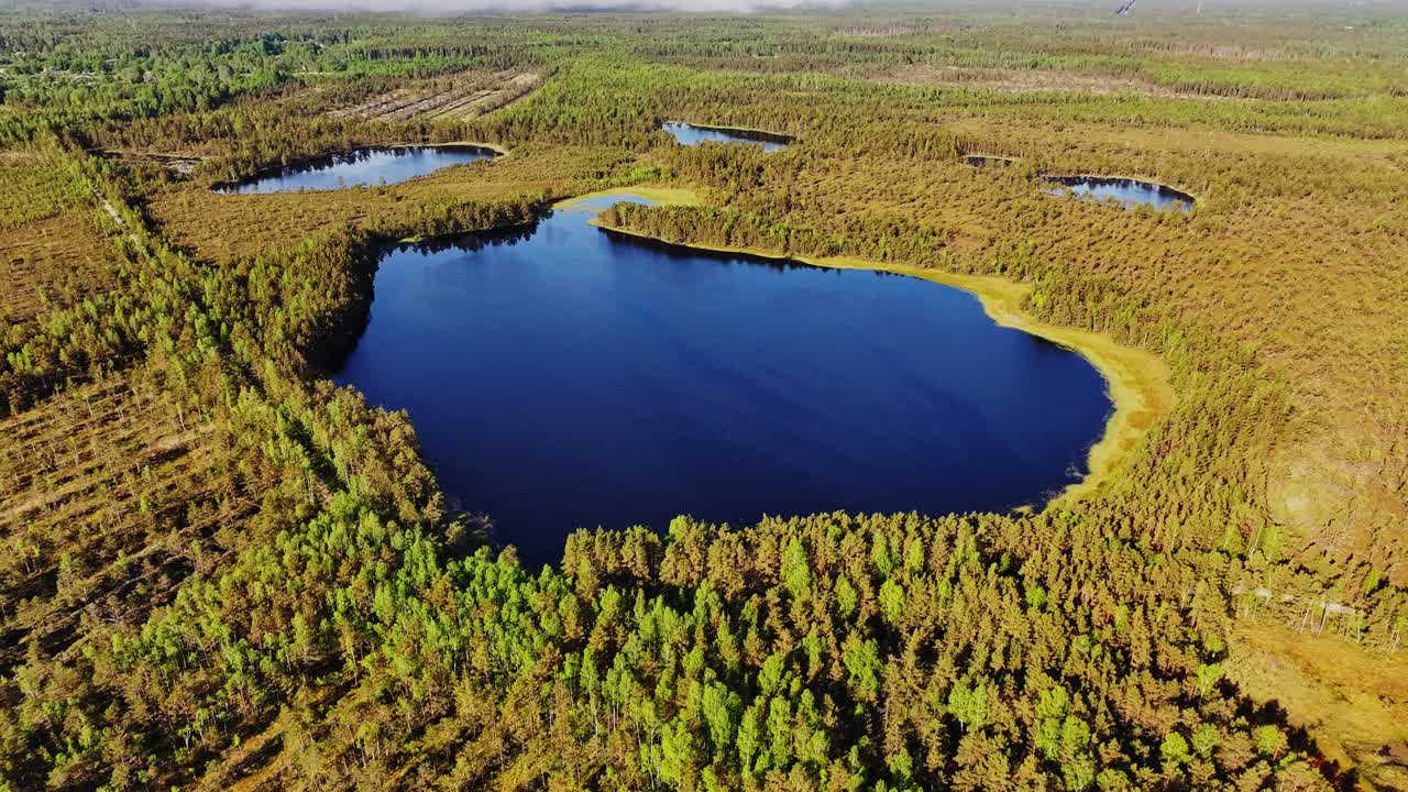 Deep blue Akacis lake lies hidden in dense marshlands of Latvia’s wild nature