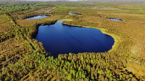 deep blue akacis lake lies hidden in dense marshlands of latvia’s wild nature