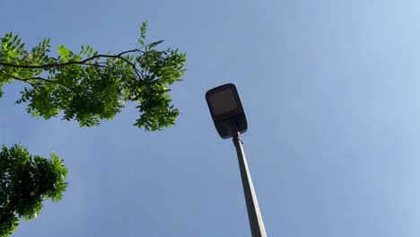 led lamp near green tree during blue sky