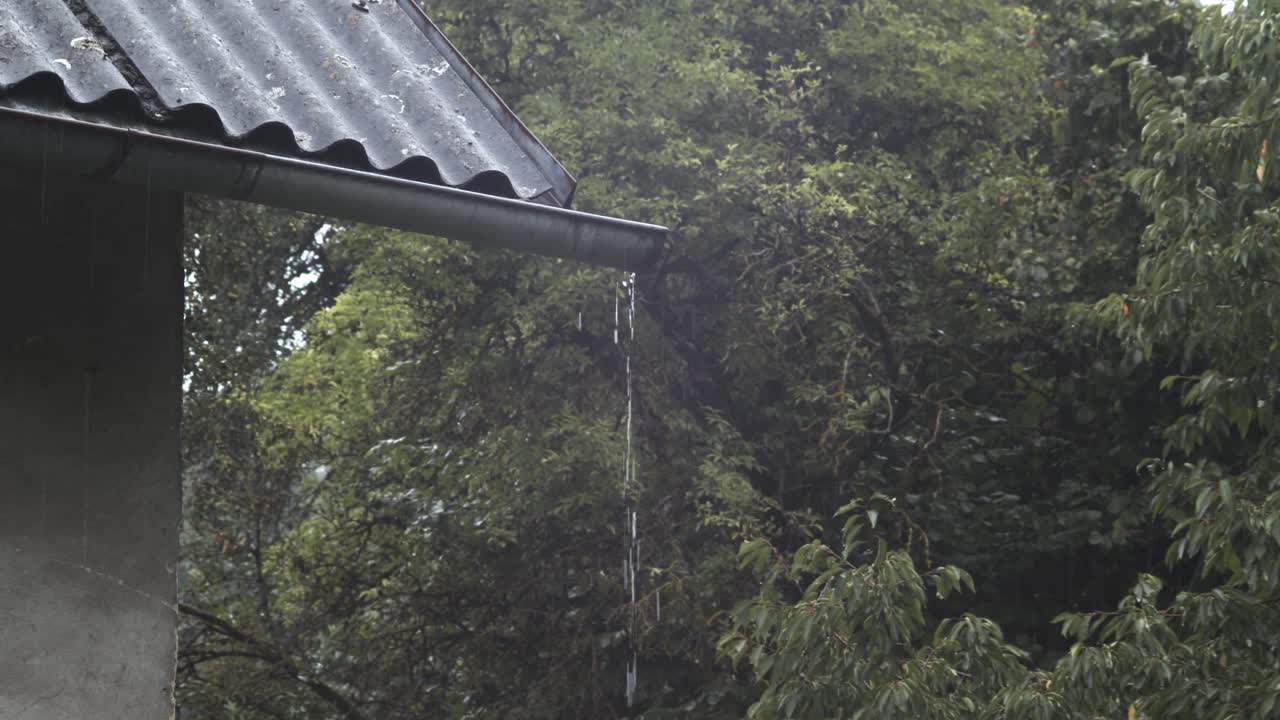 Melancholic Rainy Morning With Water Dripping From Roof Isolated On Green Nature Background - Medium Shot