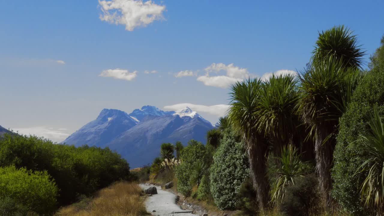 A Stunning View of New Zealand's Mountains and Cabbage Trees