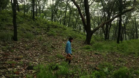 Aerial-view-of-foggy-forest-and-woman-collecting-mushrooms