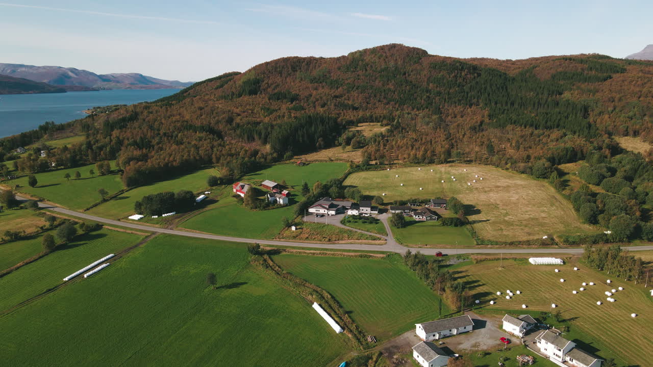 hermosas tierras de cultivo escandinavas verdes, vista aérea del campo remoto