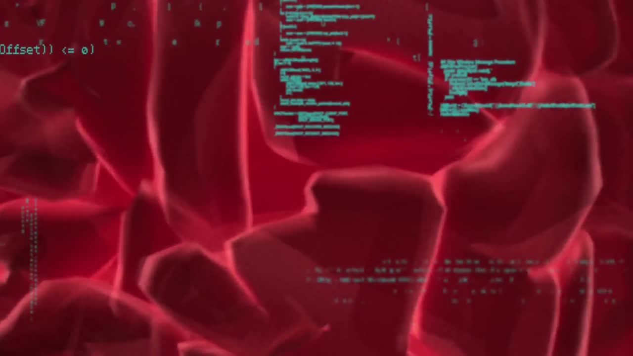 그리고 뇌 코드