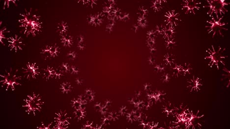 volando muchas células de virus en fondo rojo. concepto médico, ilustración microscópica. animación 3d de la molécula de virus girando. animación de bucle.