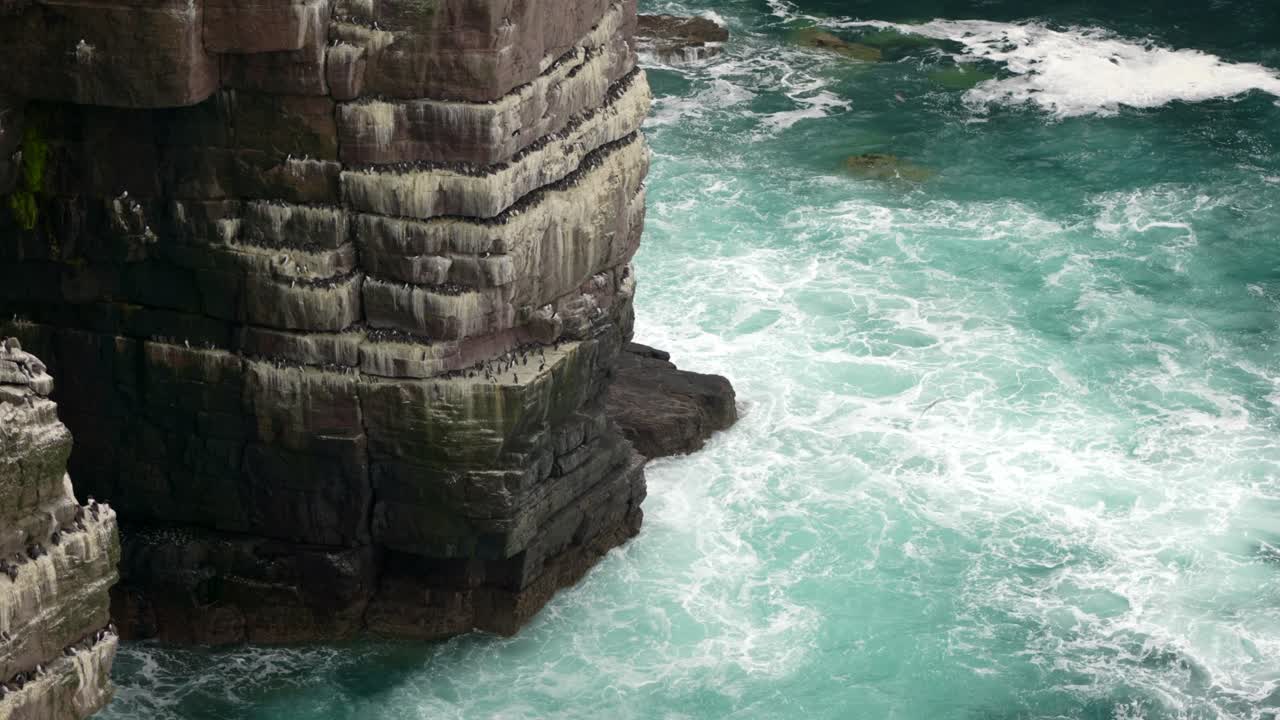 Powerful waves crash violently over rocks and against a sea cliff in the middle of a beautiful, deep teal ocean while seabirds fly around the cliffs of a seabird colony on Handa Island, Scotland