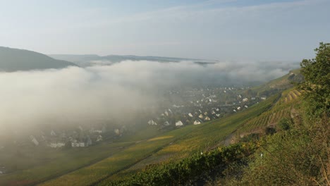 Viñedo-En-Colinas-Empinadas-Sobre-Un-Río-En-Otoño-Después-Del-Amanecer-Con-Niebla-Sobre-Un-Valle-Con-Un-Pueblo