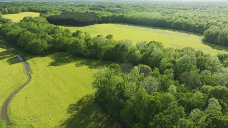 Ein-Atemberaubender-Sonniger-Tag-über-Tennessees-Ausgedehnten-Ackerland-Und-Wäldern