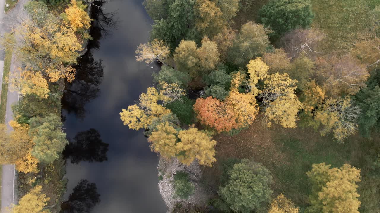 Aerial view of colorful lakeside forest in autum colors red, yellow, green