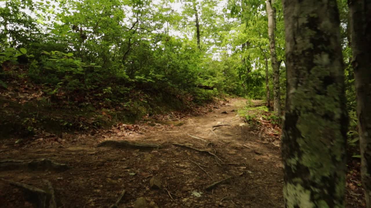 Nature Hike at Natural Bridge State Park, Kentucky