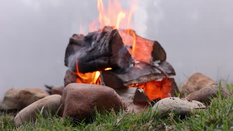 closeup, bonfire and wood for camping outdoor