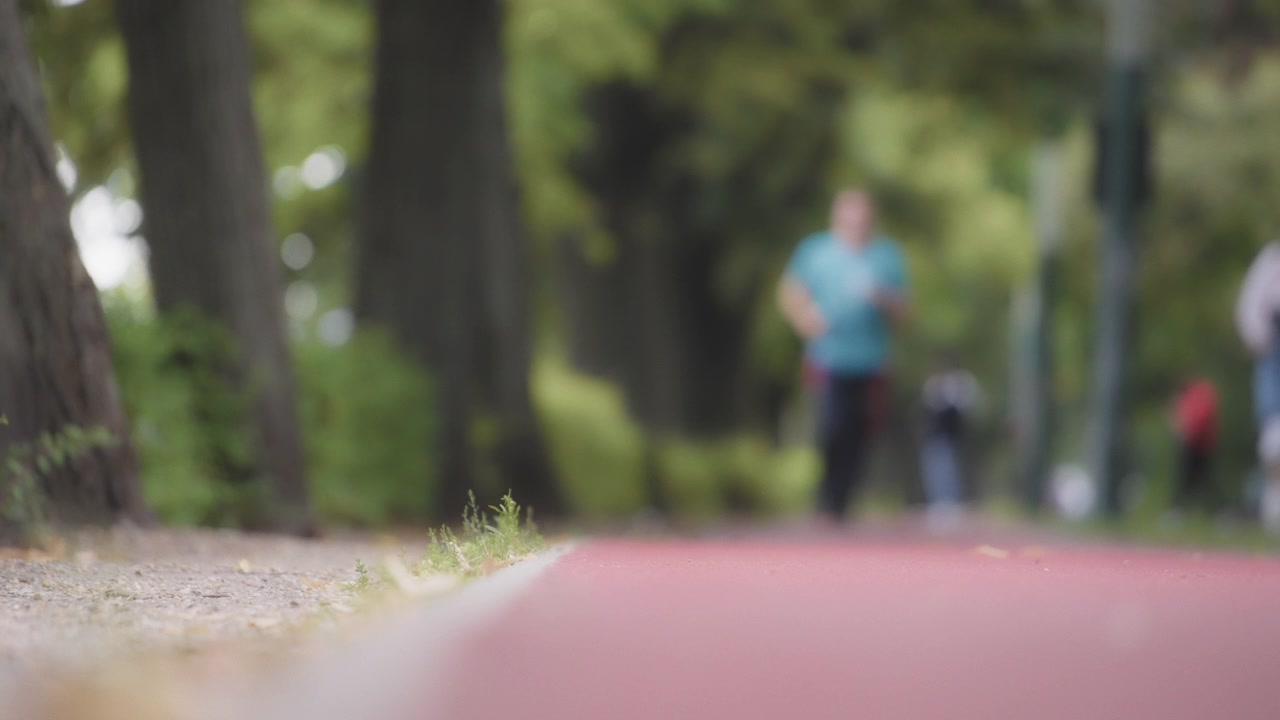People on a jogging trail in the park