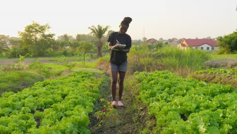 young female farmer collecting data on notebook in a farm plantation in africa