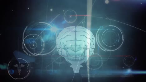 animación de redes de conexiones a través del procesamiento de datos médicos con el cerebro humano digital