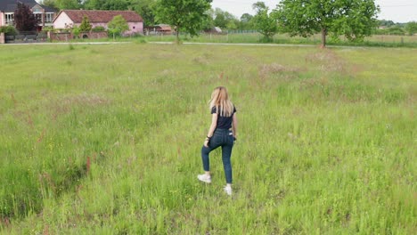 filming young woman how she is picking the flowers in the agricultural field