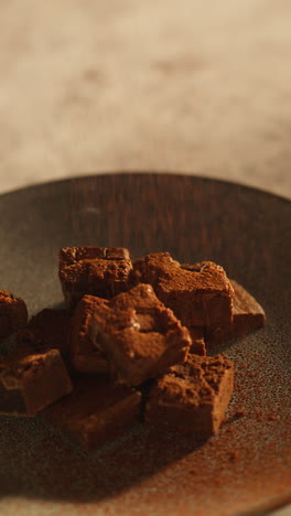 video vertical de un plato de brownies de chocolate siendo rociado con polvo de cacao
