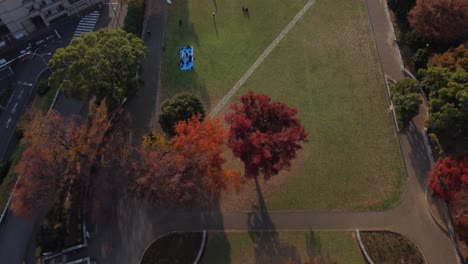 aerial view of a vibrant autumn park with people