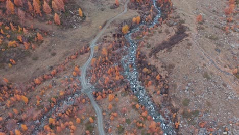 Aosta-valley-lined-with-trees-in-shocking-orange-fall-foliage