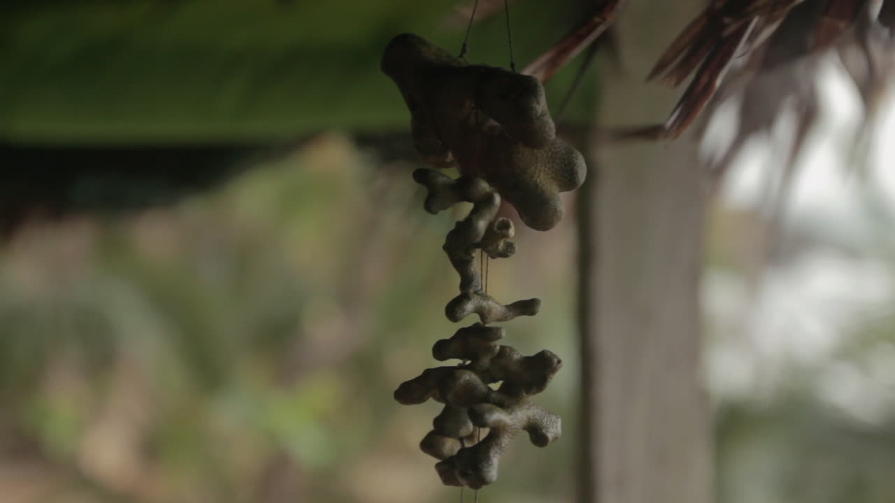 Decorative mobile made of dead coral in a remote house at the Darien Gap in Colombia
