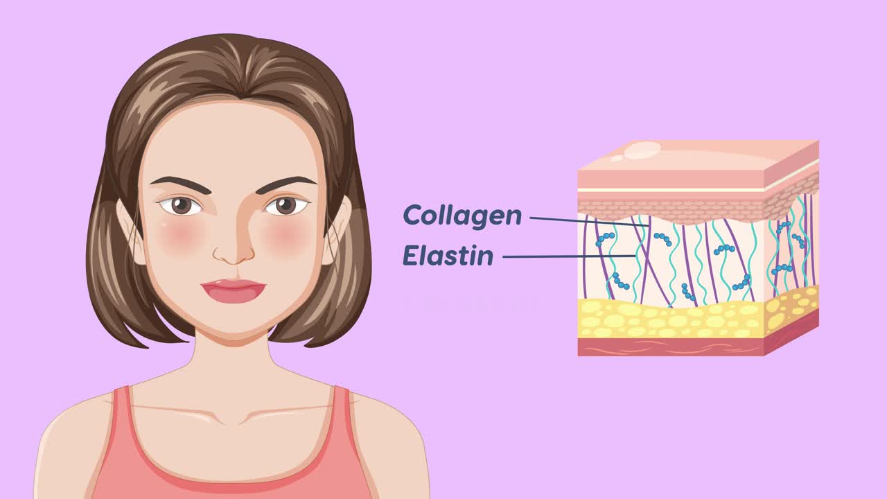 젊은 피부와 그 구성 요소의 일러스트레이션