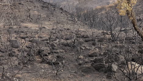 Fairview-Fire-Aftermath-Berglandschaft-In-Hemet,-Kalifornien,-Usa,-September-2022