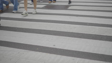 people crossing a crosswalk