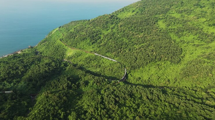 Train Passing Over Mountain Pass Bridge