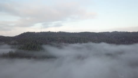 aerial, drone shot, over a thick fog, towards a hill, full of frosty forest and hills, on a freezing foggy, autumn morning, in birkeland, aust-agder, south norway
