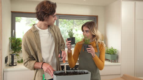 couple gardening together in kitchen, planting herbs with smiles and joy