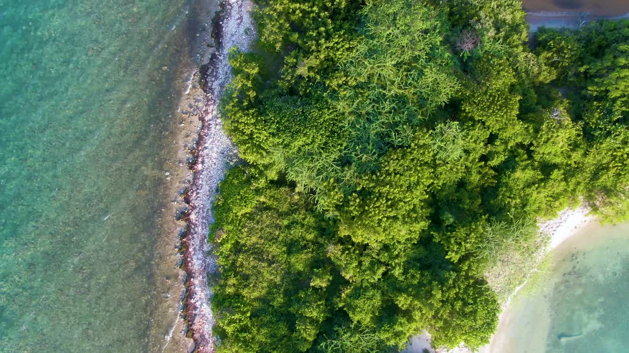 Coastal vegetation in Esmeralda Beach, Vieques, Puerto Rico. Aerial Birdseye