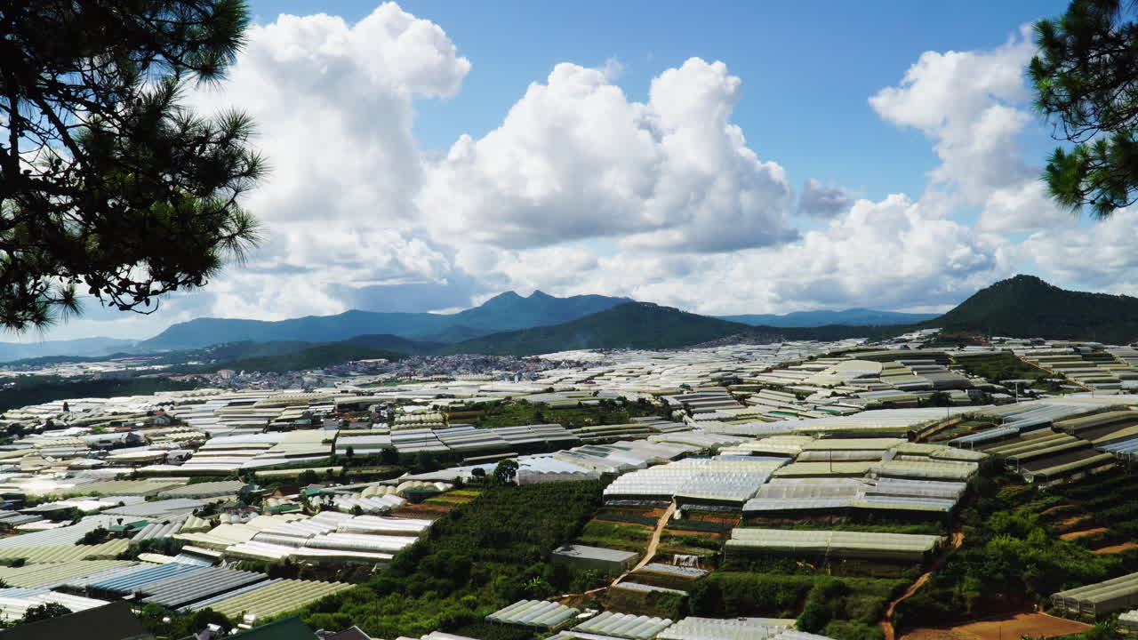달랏의 창공 온실의 하강 전망