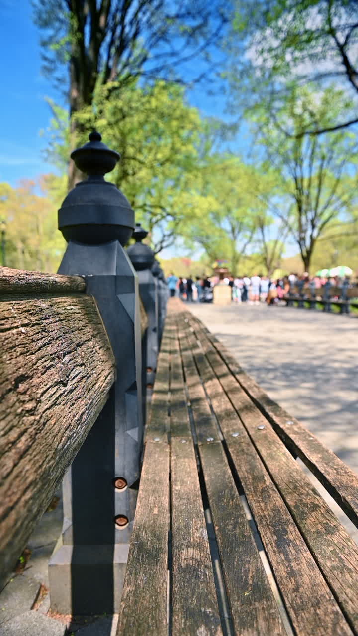 Sunny day relaxation in NYC. Visitors enjoy a sunny day in New York's park, surrounded by trees and a lively atmosphere. Benches invite relaxation