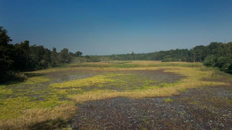 Lagos-Rodeados-Por-La-Selva