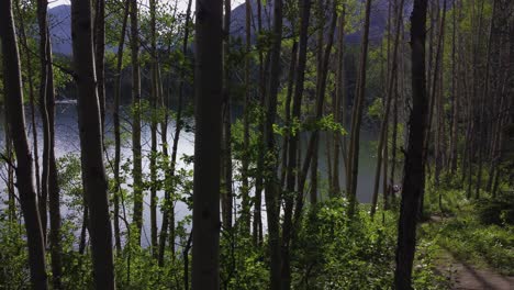 Pond-in-forest-people-in-distance-sun-flare-Rockies-Kananaskis-Alberta-Canada