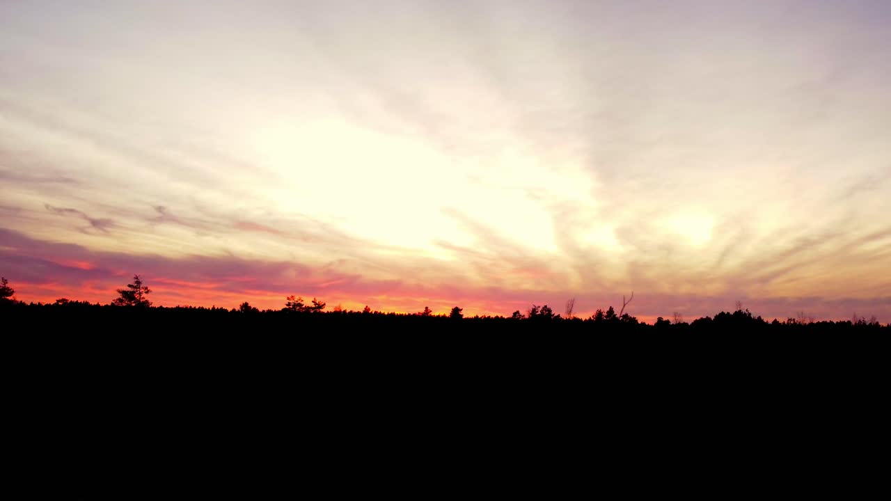 Aerial View of Pond During Sunset in a Forest