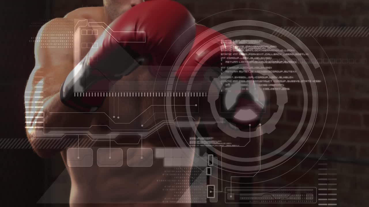 procesamiento de datos con el boxeo humano