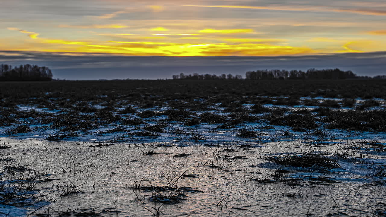 lapso de tiempo de un amanecer dorado en la distancia con foco en la nieve y las plantas en primer plano
