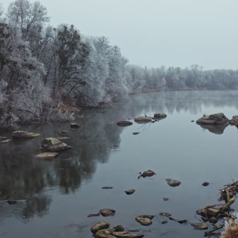 beautiful river in winter season. flight over the trees covered with white snow on both sides of a river. drone view.