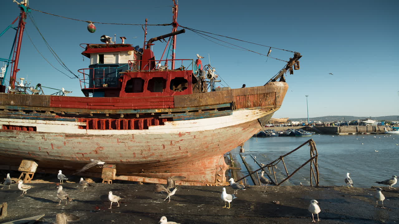 città costiera di essaouira, marocco