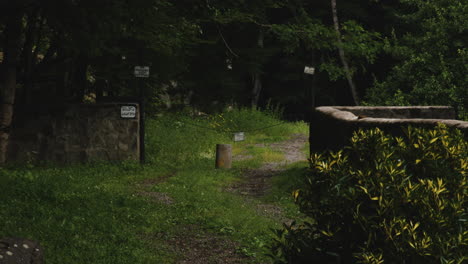 Überwucherter-Grasweg,-Der-Durch-Eine-Kette-Und-Eine-Steinmauer-Im-Dunklen-Wald-Versperrt-Ist