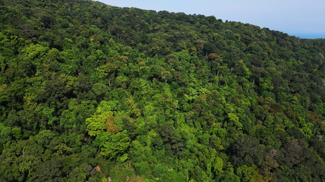 hermosa vista aérea del vuelo
