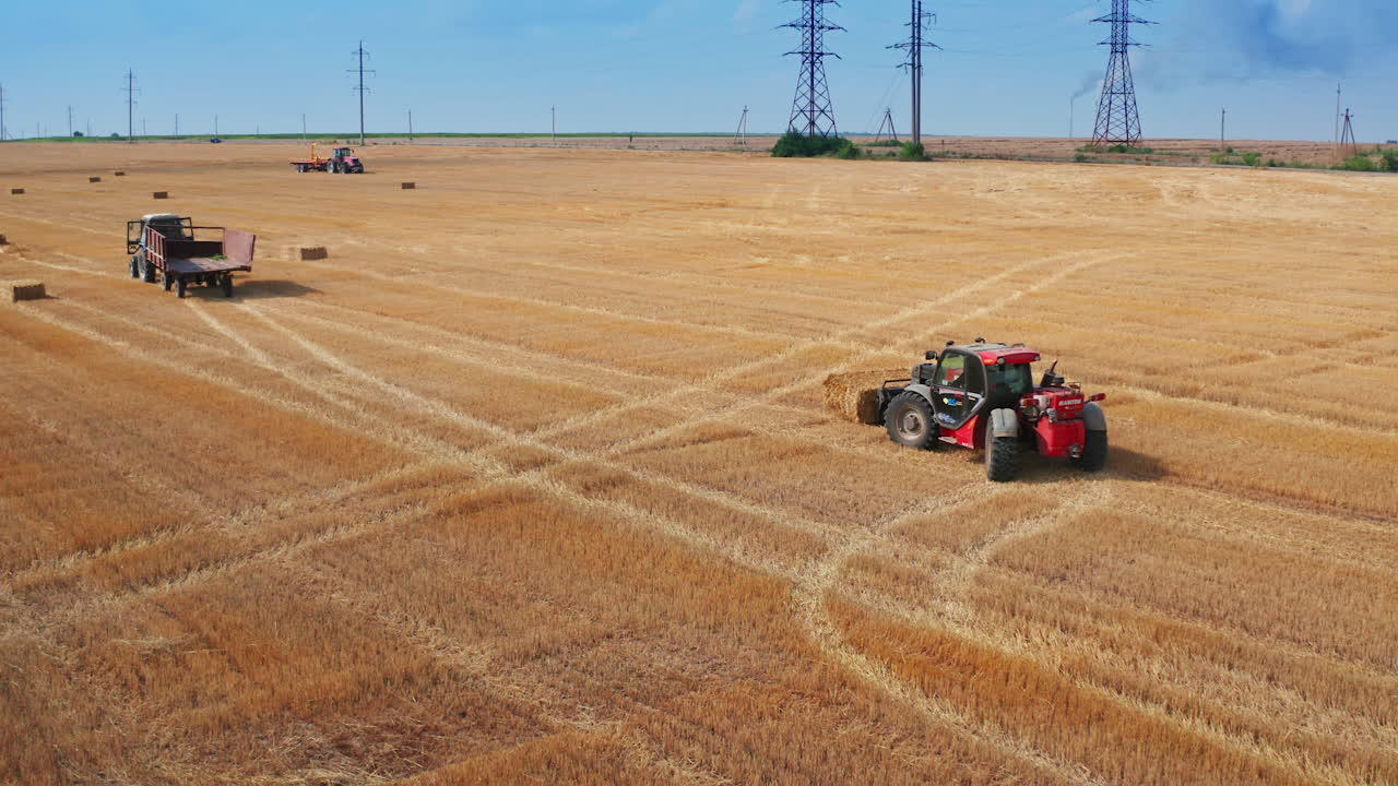 Modern red excavator lifts the bale of hay and puts it on the other bale. Electric supports and green trees at backdrop.