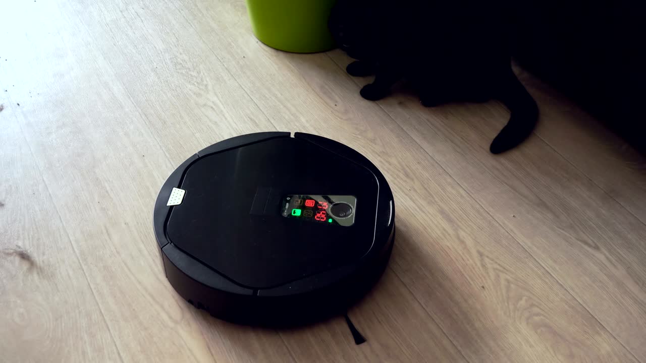 gato negro jugando con la aspiradora robótica que está limpiando el piso. 4k