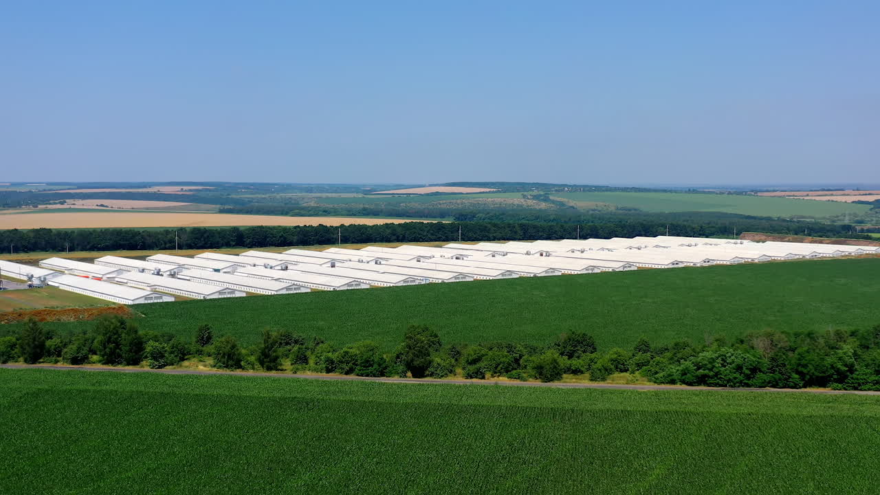 Agriculture industry in countryside. Aerial view of industrial chicken house