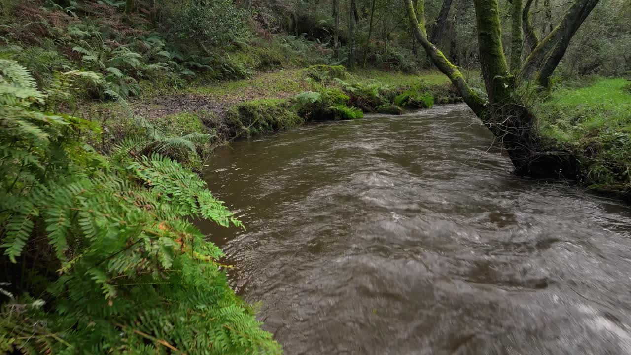 Brusende flodstrøm i tropisk skov nær Gabenlle, La Coruña, Galicien i Spanien. Tilbagetrækningsskud.