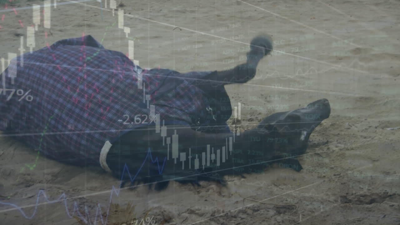Animation of financial data processing over horse