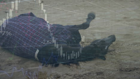 animación del procesamiento de datos financieros a través de un caballo